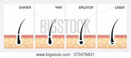 Body Wax
