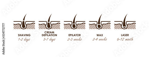 The Basic Principles Of Hair Removal