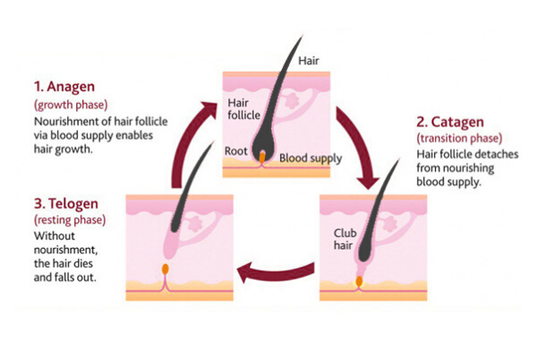 The Best Strategy To Use For Waxing