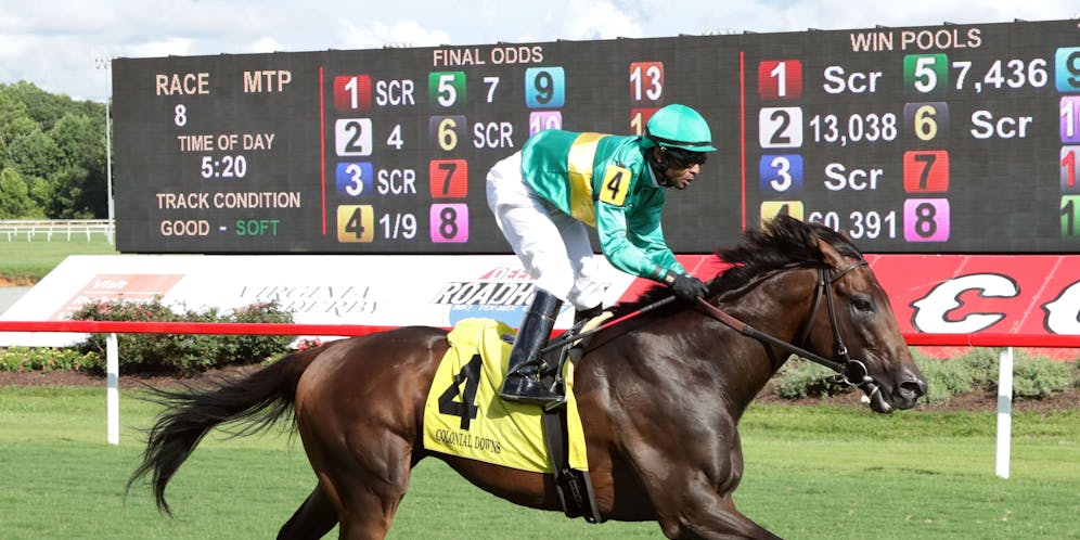 Horse Racing News & Horse Racing Analysis