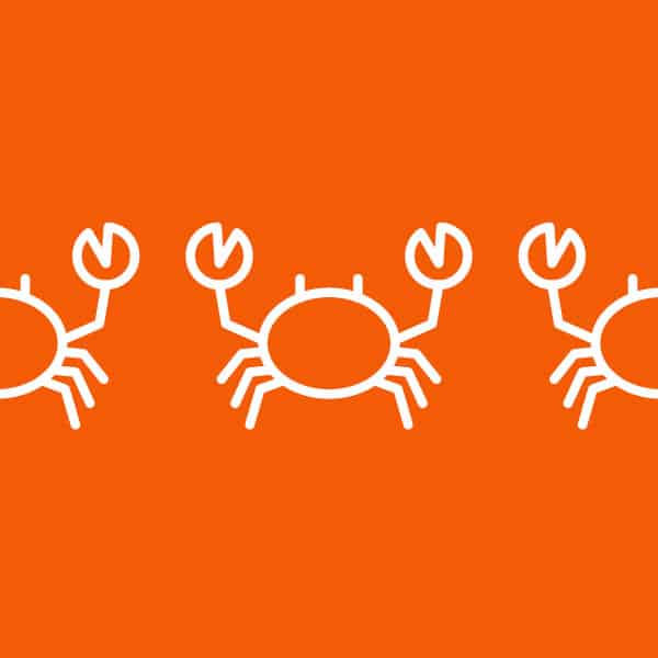 Why do we have pubic hair?