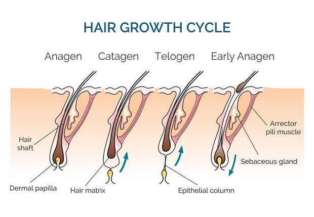 How Waxing can Save You Time, Stress, and Money.