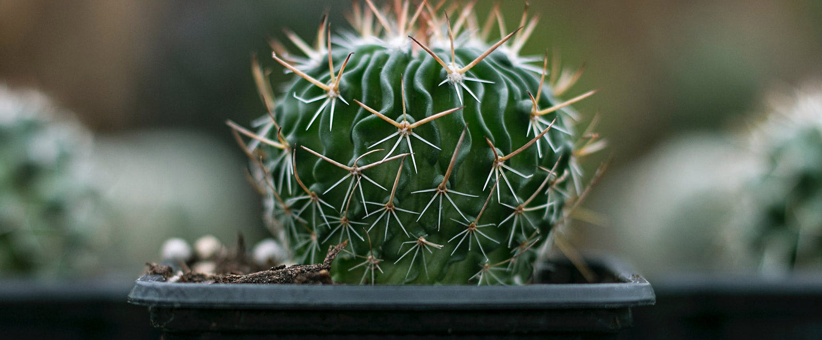 9 Easy Facts About Laser Hair Removal Raleigh Nc Described