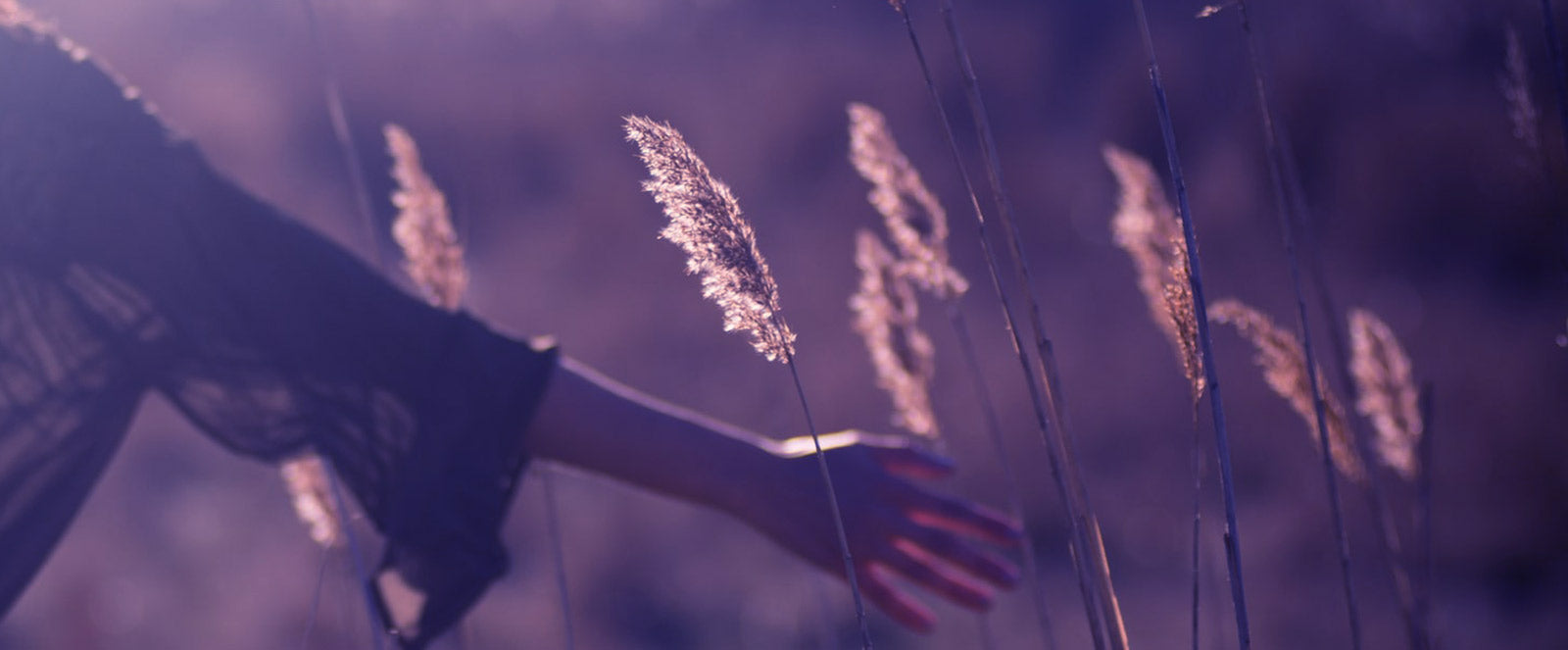 The Of Laser Hair Removal Raleigh Nc