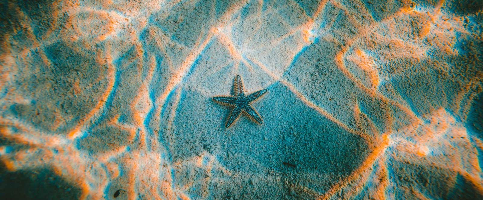 Facts About bikini waxing Revealed