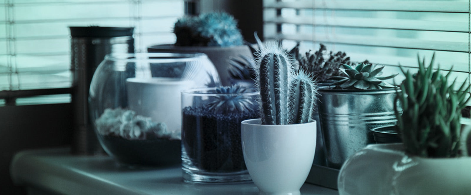 Laser Hair Removal Raleigh Nc Fundamentals Explained