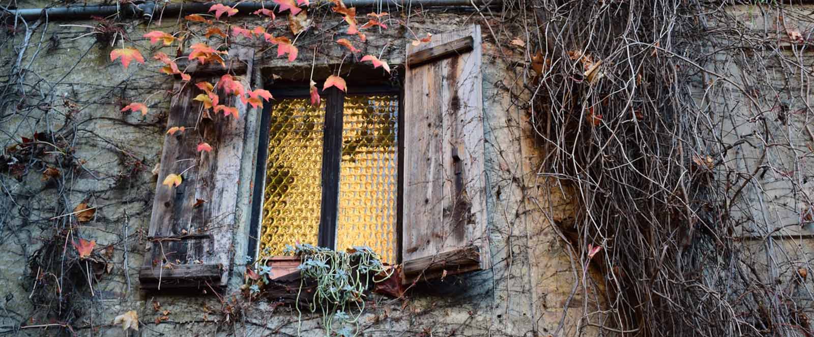 The Single Strategy To Use For Laser Hair Removal Raleigh Nc