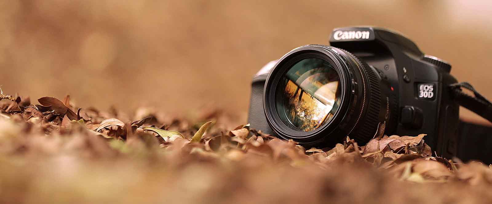 4 Easy Facts About Laser Hair Removal Raleigh Nc Described