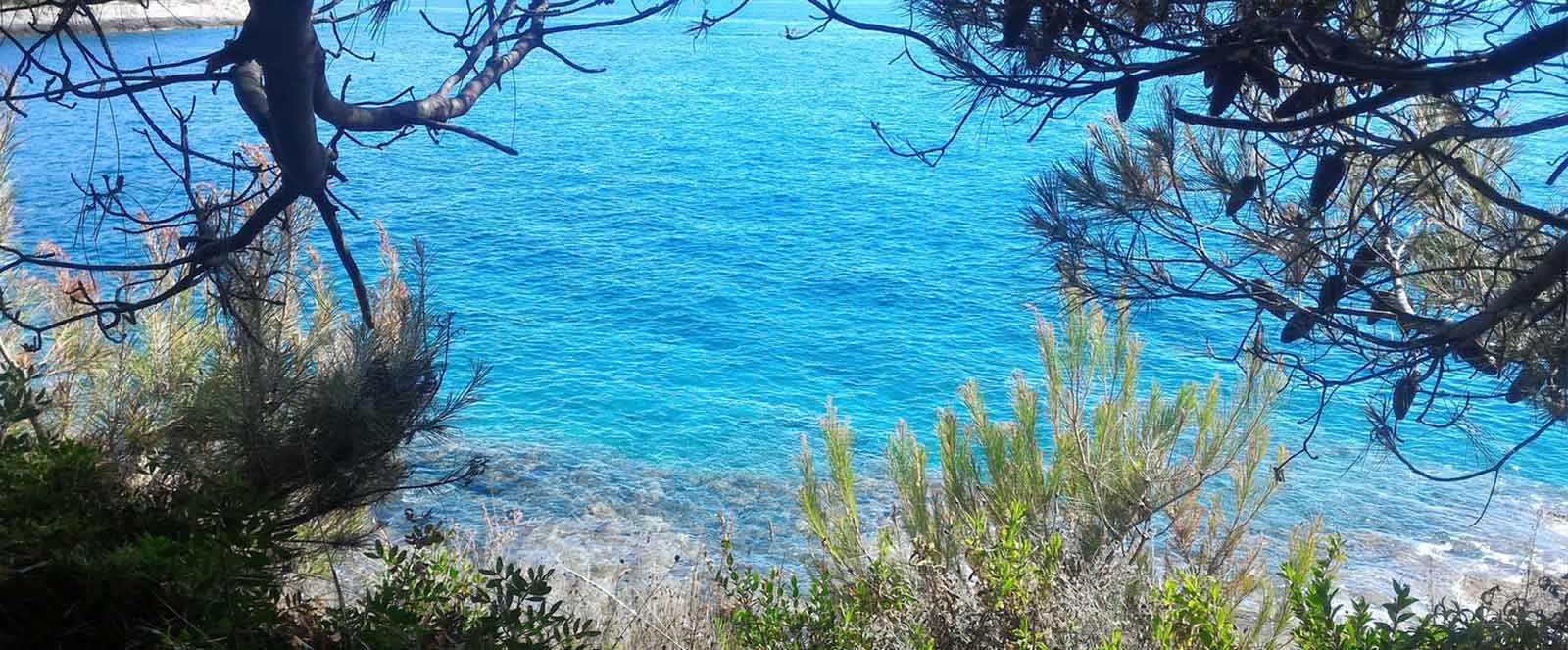 Laser Hair Removal Raleigh Nc Can Be Fun For Everyone