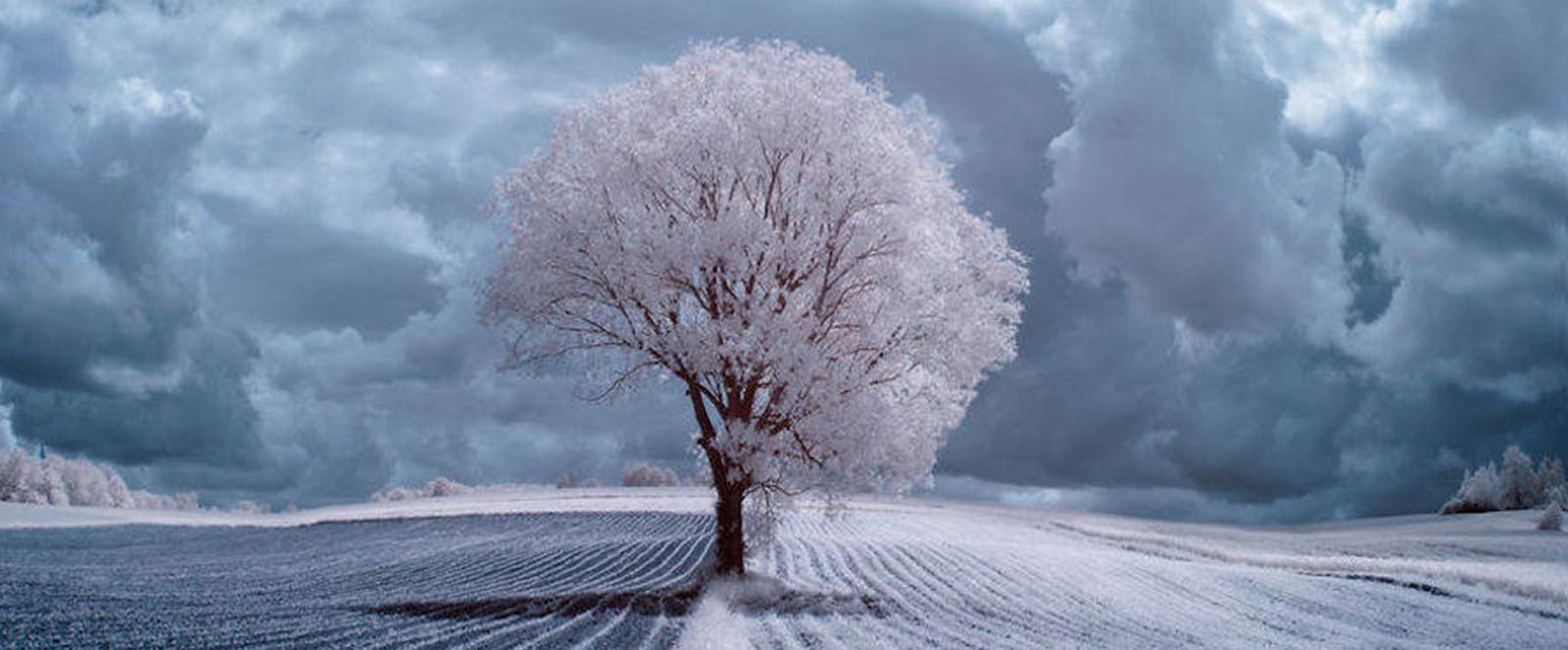 Get This Report about Laser Hair Removal Raleigh Nc