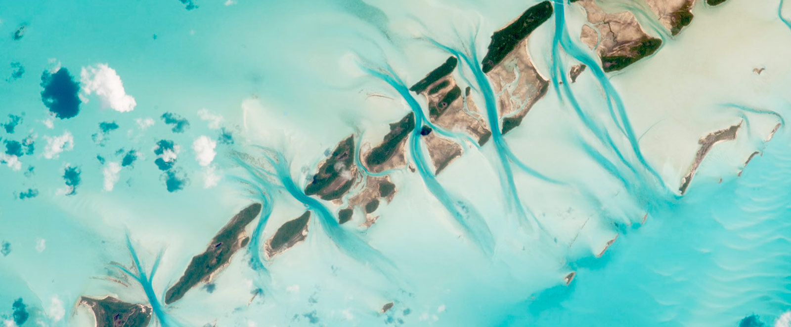 The Laser Hair Removal Raleigh Nc Ideas