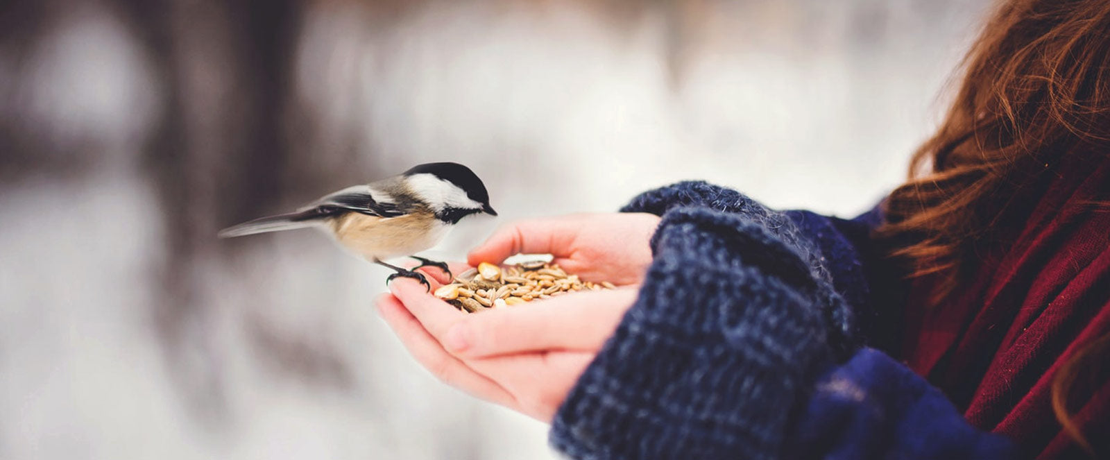 An Unbiased View of Laser Hair Removal Raleigh Nc